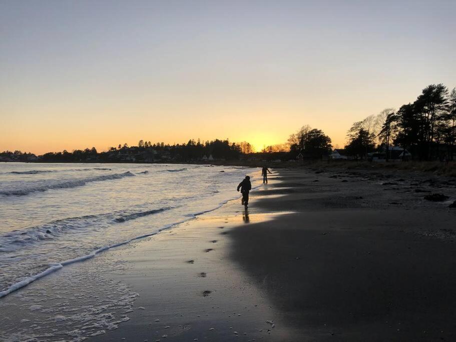 Hyggelig Leilighet Naer Stranden, Tonsberg Διαμέρισμα Εξωτερικό φωτογραφία