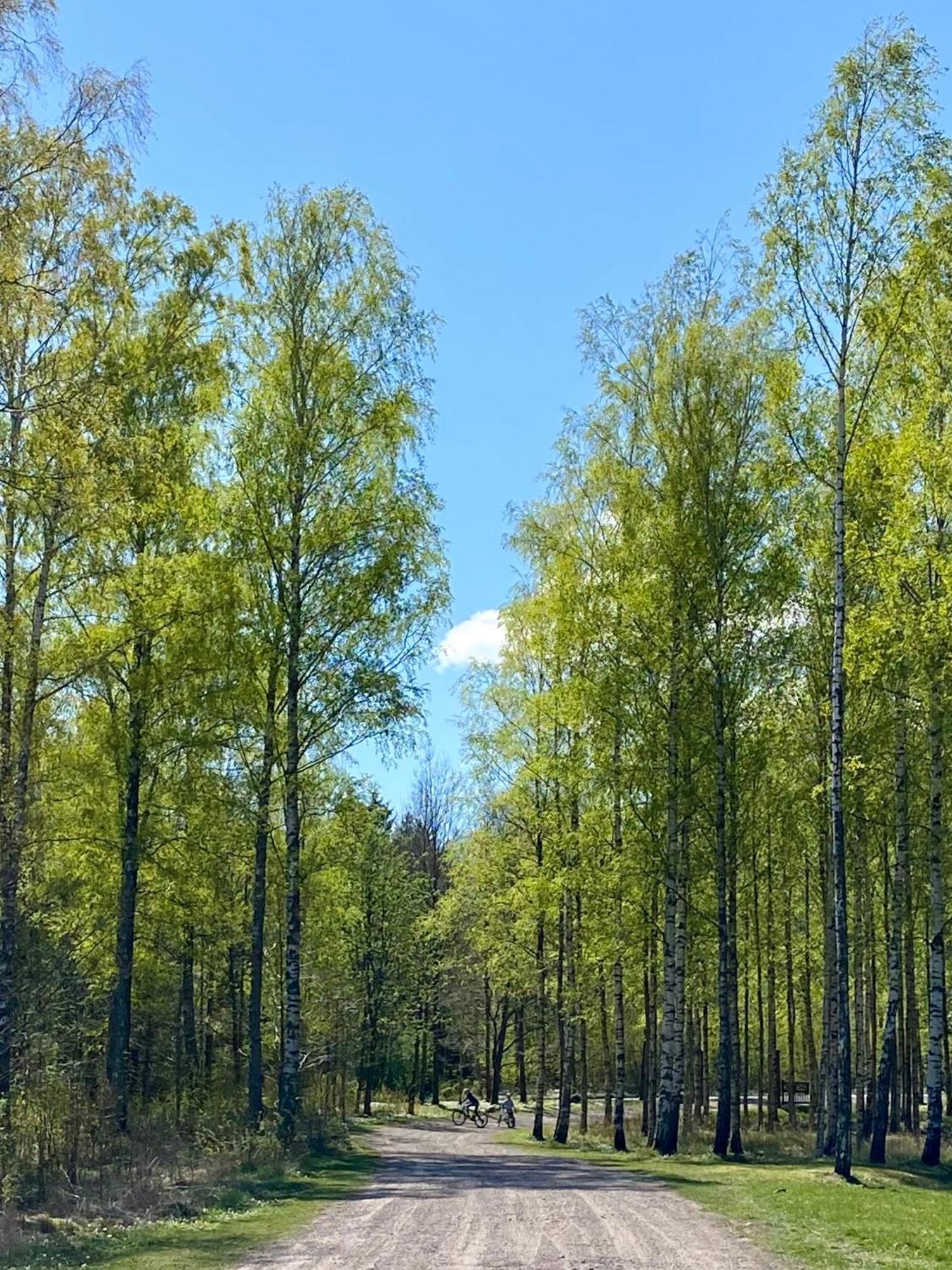 Hyggelig Leilighet Naer Stranden, Tonsberg Διαμέρισμα Εξωτερικό φωτογραφία